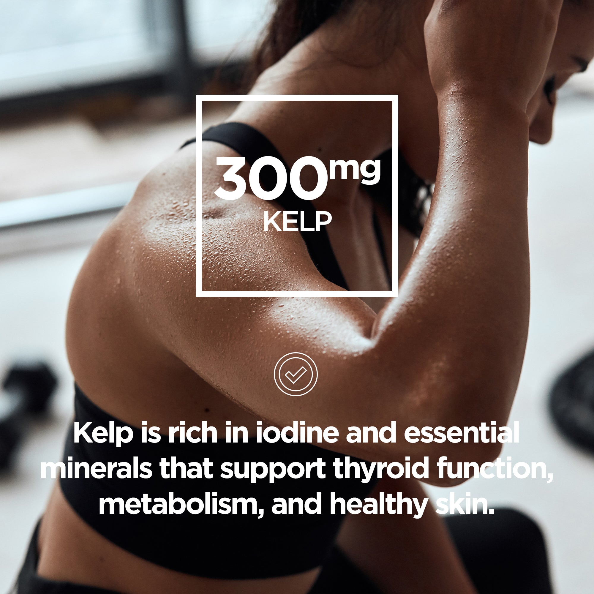 Womens Pro Multi Vitamin - Raw Sport