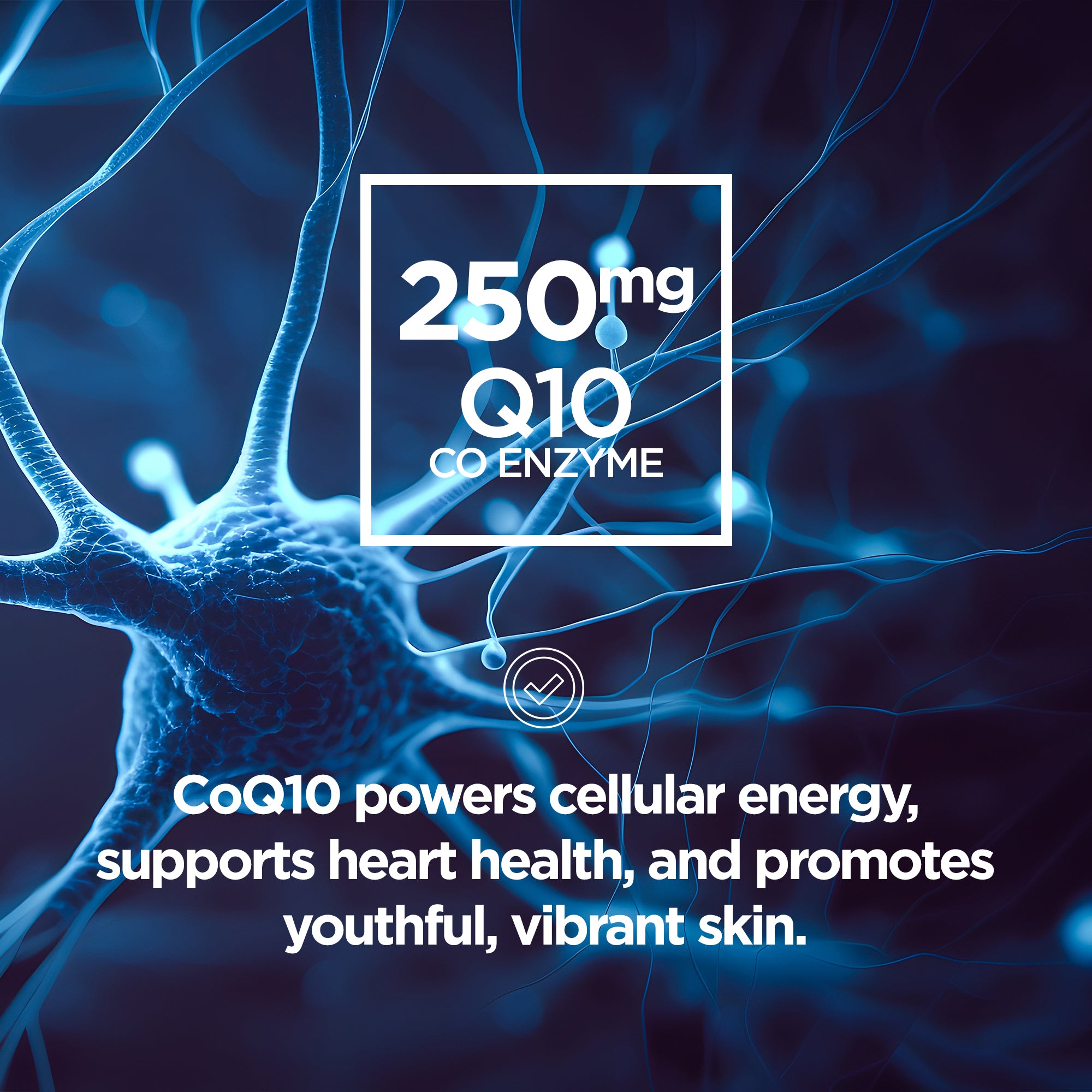 Womens Pro Multi Vitamin - Raw Sport