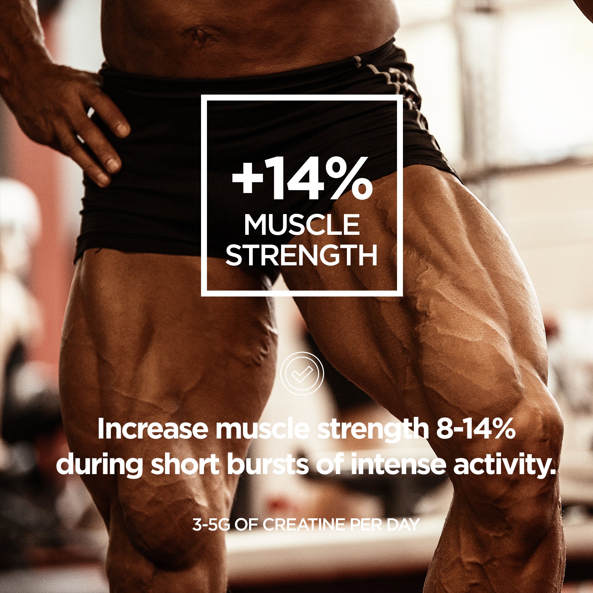 Pure Creatine Monohydrate 500g