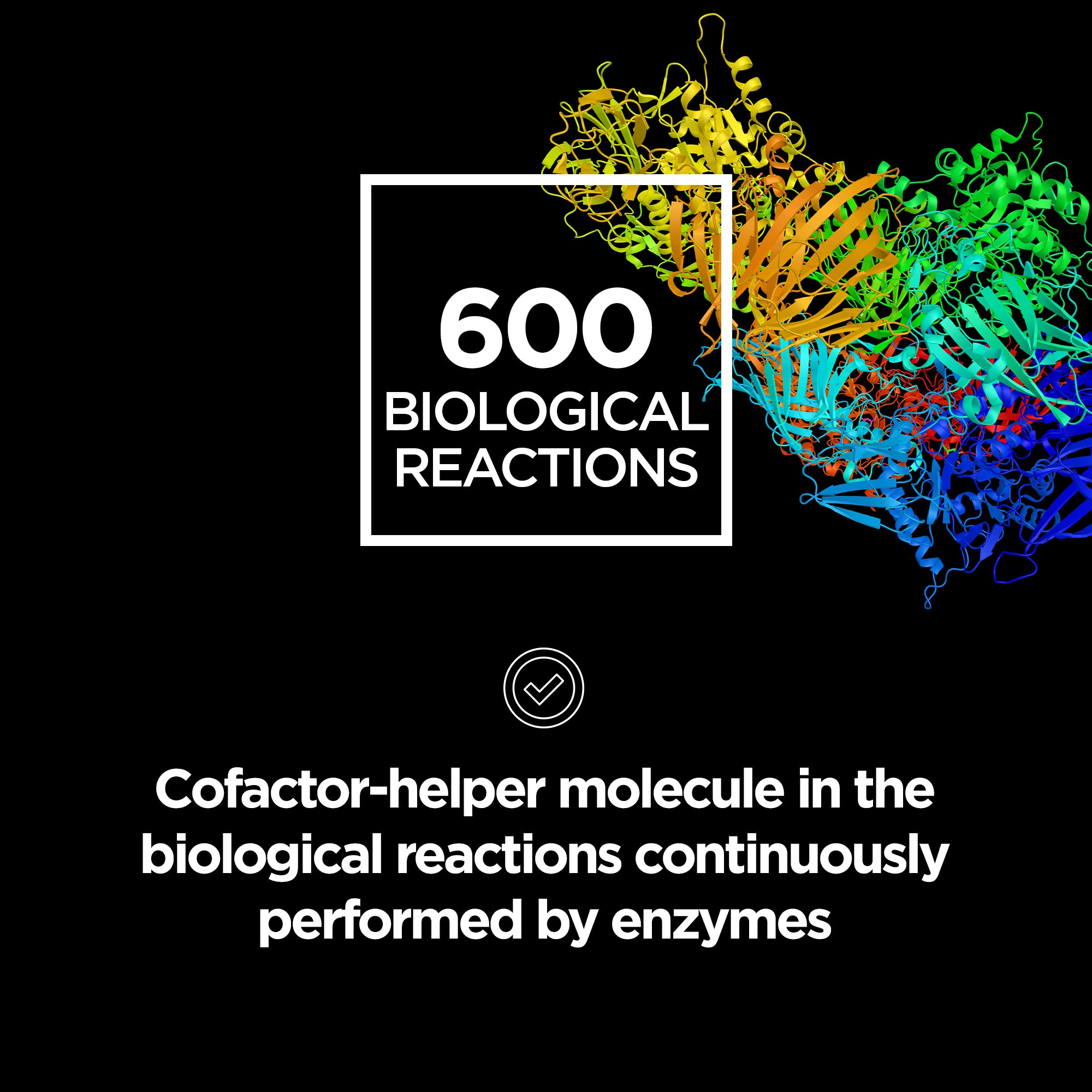 Tri-Magnesium Informed Sport