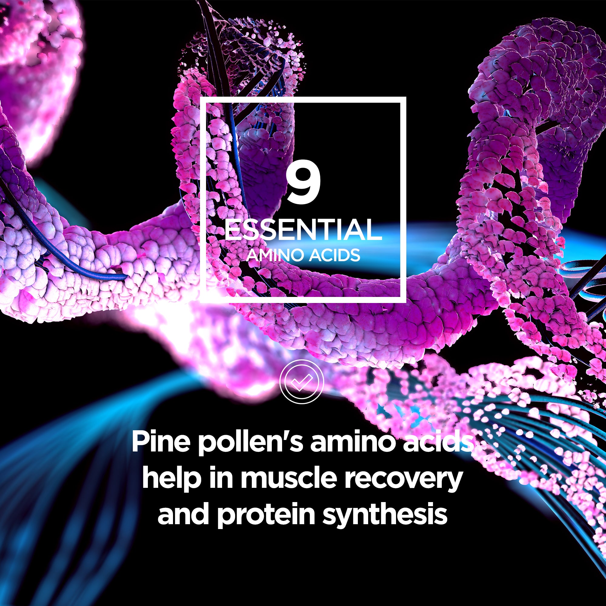 Pine pollen 150g Premium Powder