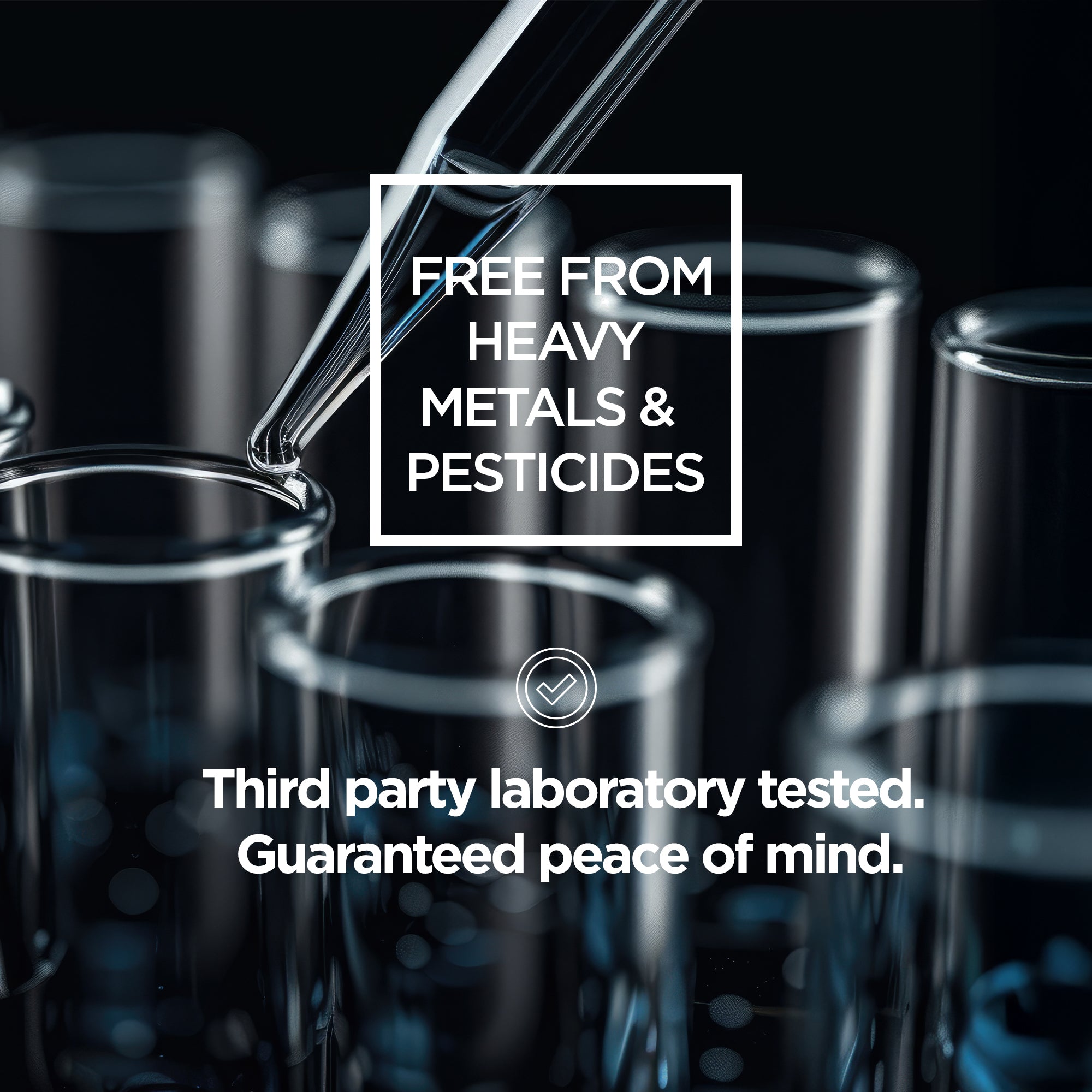 Repair High Protein Powder