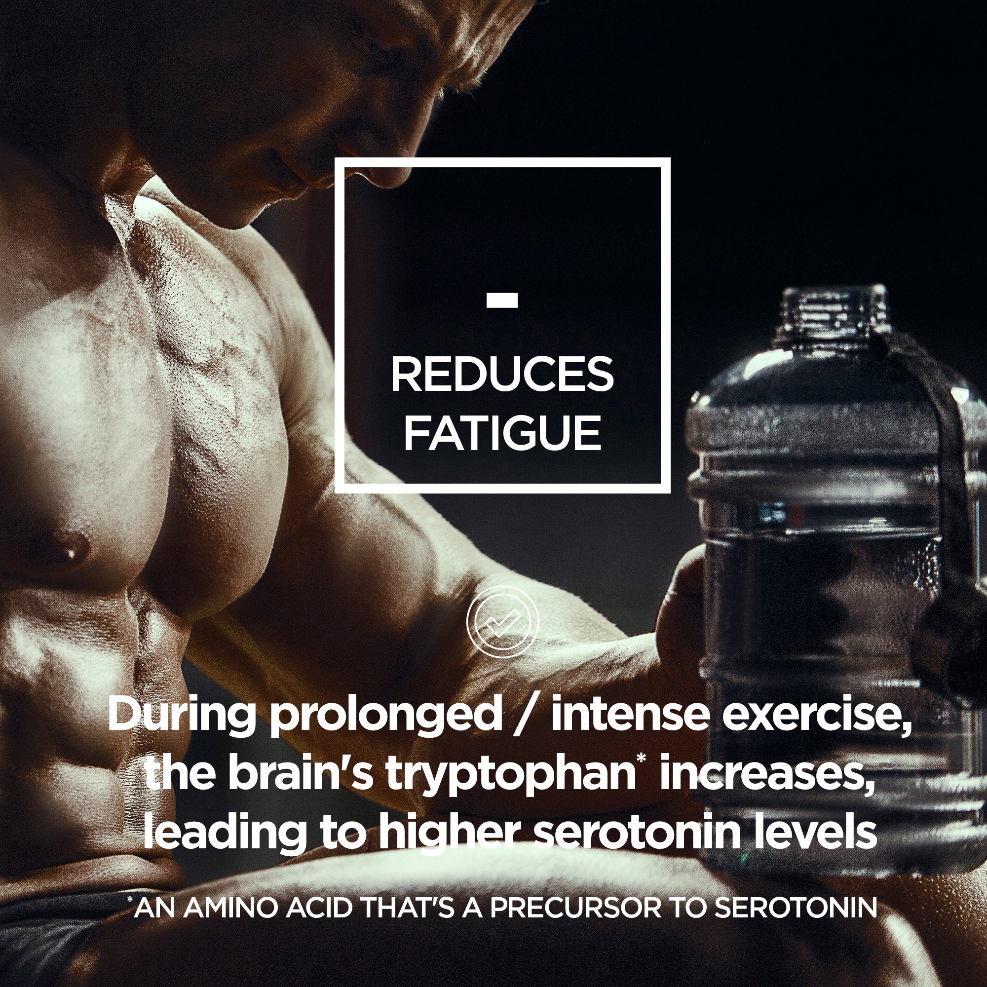 Maintain BCAA Powder