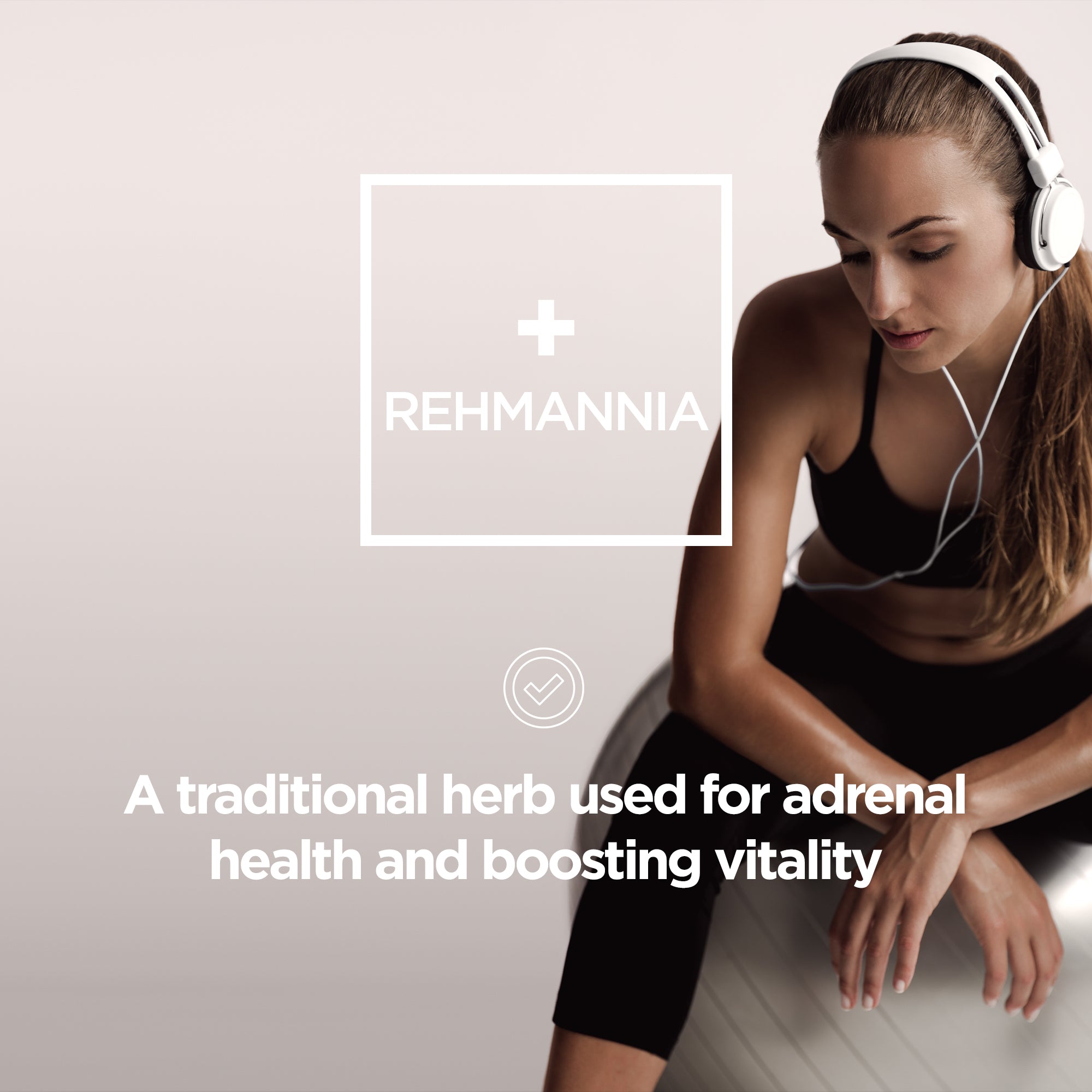 Adrenal Support Formula