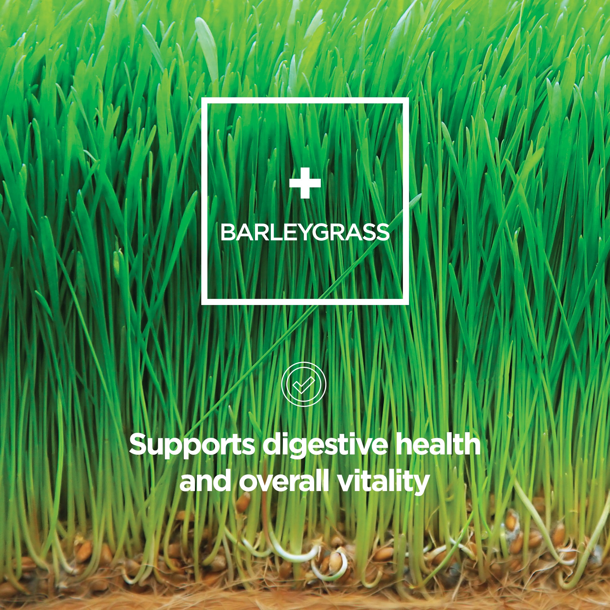 Greens Alkalising Multi Nutrient