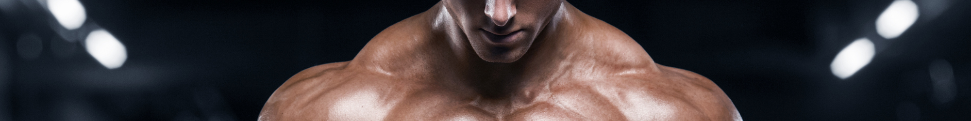 Muscle Building | Muscle Maintenance