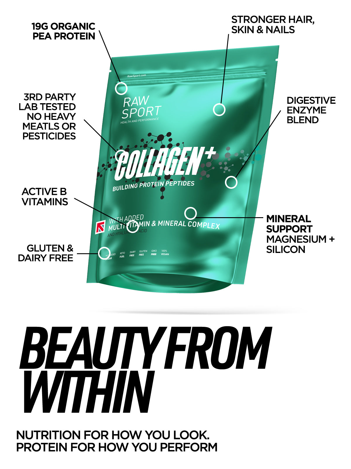 Collagen Peptide Protein Powder