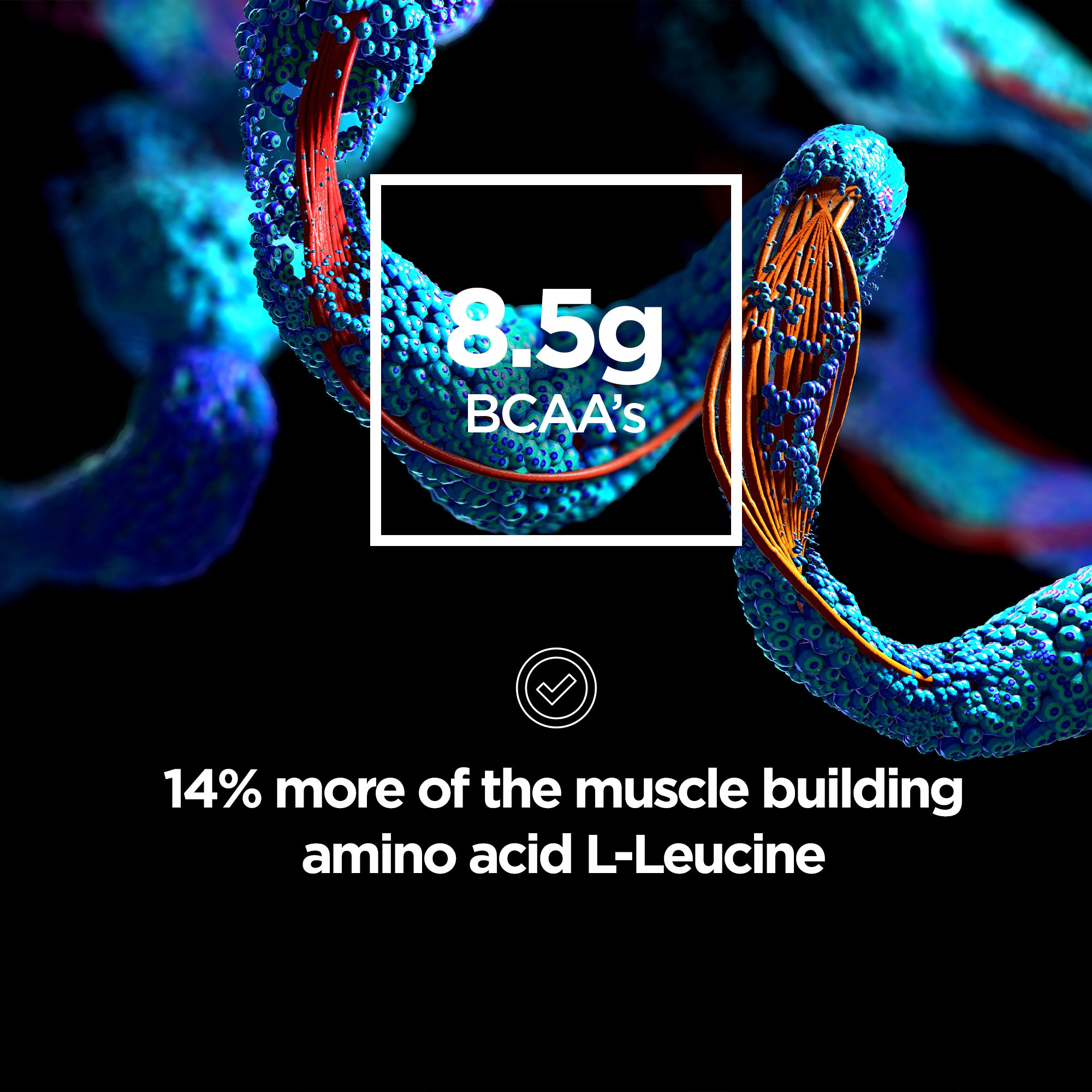 Pro Whey Mass Gainer - Grass Fed - Informed Sport