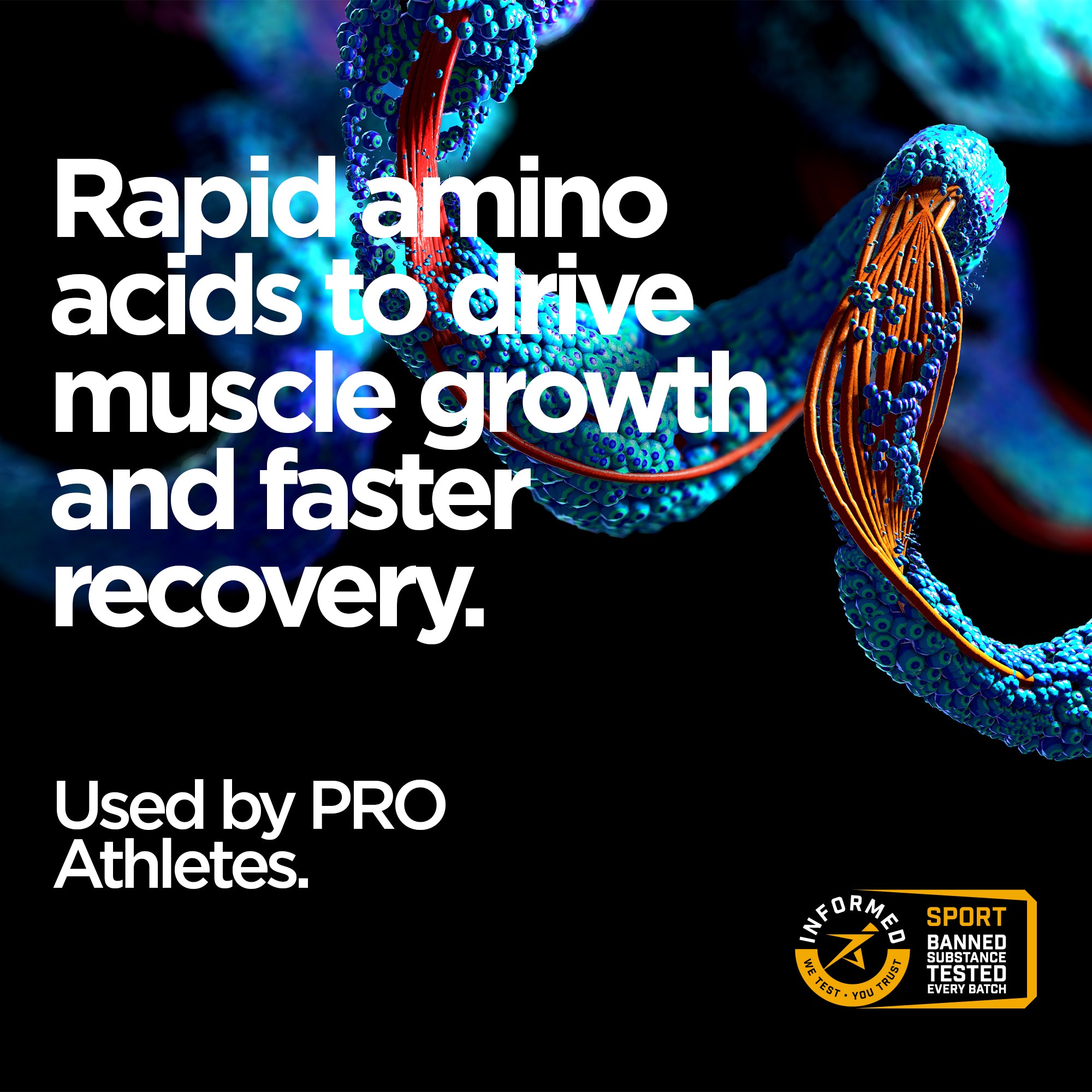 Grass Fed Whey Protein Powder Pro - Raw Sport